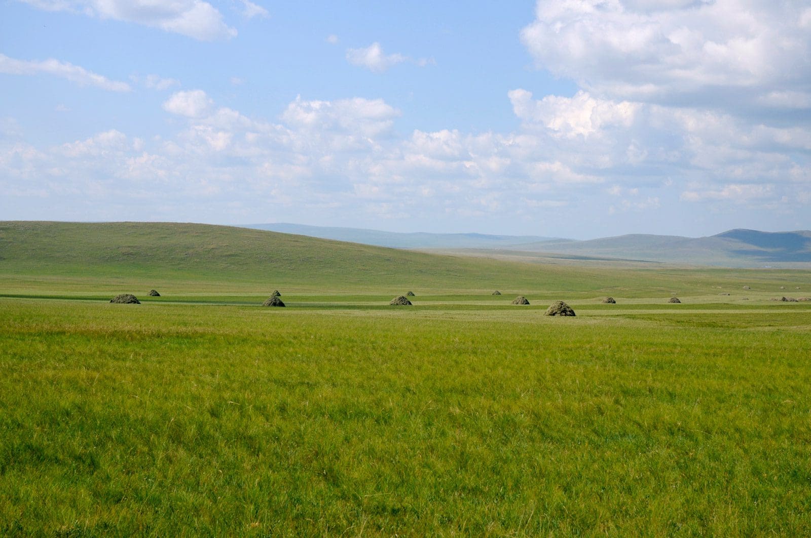 Steppe in der inneren Mongolei