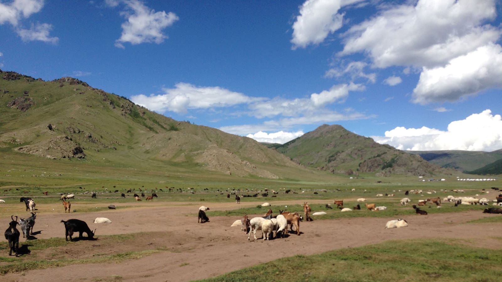Arkhangai Steppe Mongolei