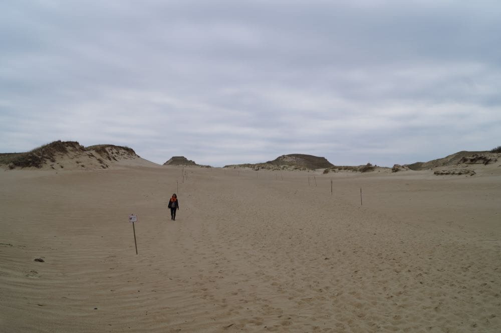 sand dunes on Curonian spit (Lithuania)